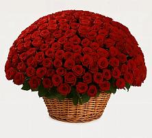 Премиум букет из: Розы в Турунтаево