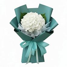 Букет цветов из:  Гортензия в Турунтаево